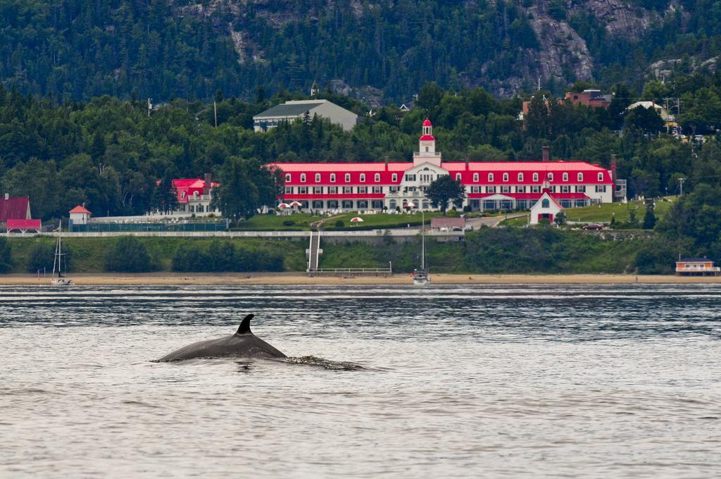 Gite Au Vieux Pommier Tadoussac Eksteriør bilde